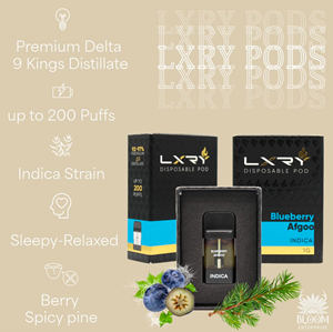 LXRY - Pods - Blueberry Afgoo - Indica - 1g