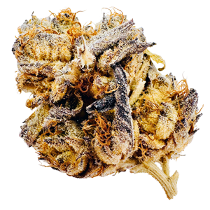 L.S.O - Garlic Crusher - 3.5g - THC 31% - CBD <2%