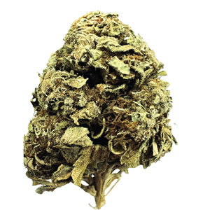 Silver Haze - 28g - THC 23% - CBD <2%