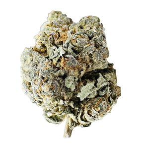 White Slushie - 3.5g - THC 28% - CBD <2%