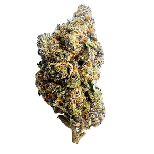 Permanent Chapo - 3.5g - THC 29% - CBD <2%