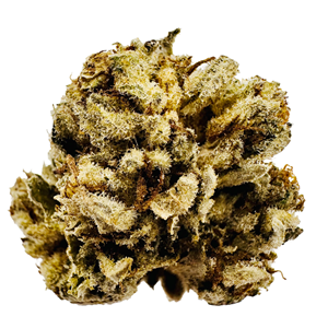 Cherry Lemon Gelato - 3.5g - THC 23% - CBD <2%