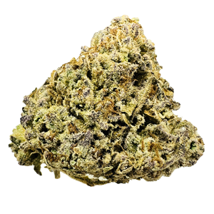 Critical Plus - 3.5g - 22%THC/<2%CBD