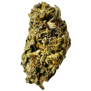 Georgia Runts - 3.5g - THC 24% - CBD <2%