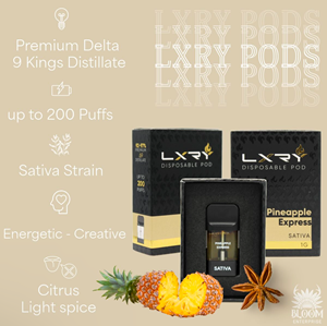 LXRY - Pods - Pineapple Express - Sativa - 1g
