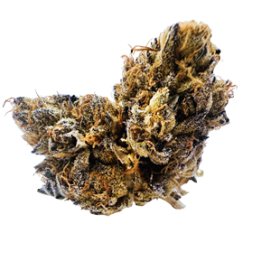 L.S.O - Garlic Crusher - 7g - THC 31% - CBD <2%