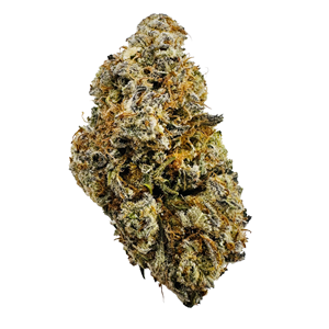 Slurricane - 3.5g - THC 28% - CBD <2%