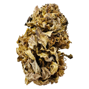 Glueberry OG - 28g - THC 20% - CBD <2%