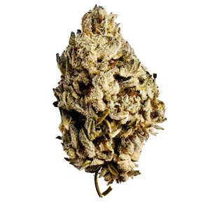 Oreo - 3.5g - THC 24% - CBD <2%